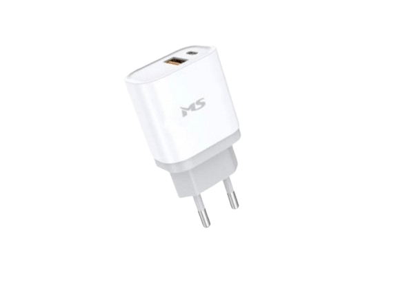 MS POWER Z310 Fast Charger