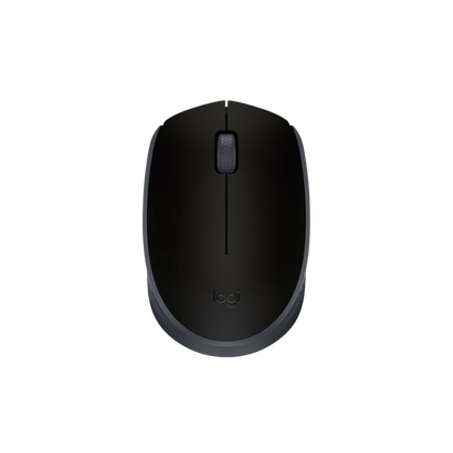 Maus Logitech B170
