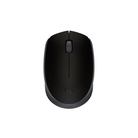 Maus Logitech B170