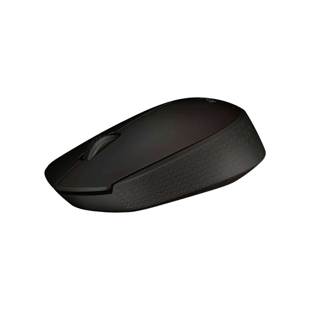Maus Logitech B170