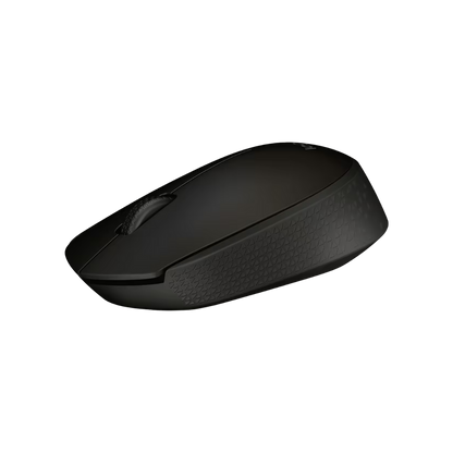 Maus Logitech B170