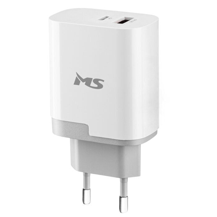 MS POWER Z500 Fast Charger