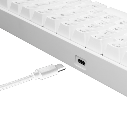 Tastierë White Shark Gaming GK-2022 SHINOBI