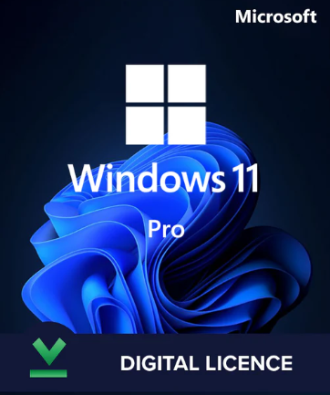 Windows 11 Professional Key